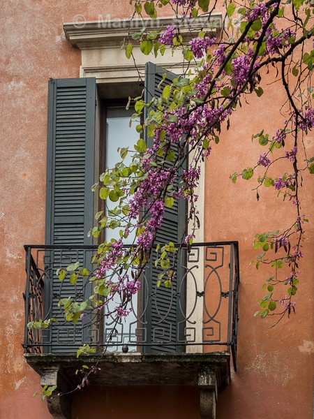 Verona-20 - Lake Garda, Verona and Venice