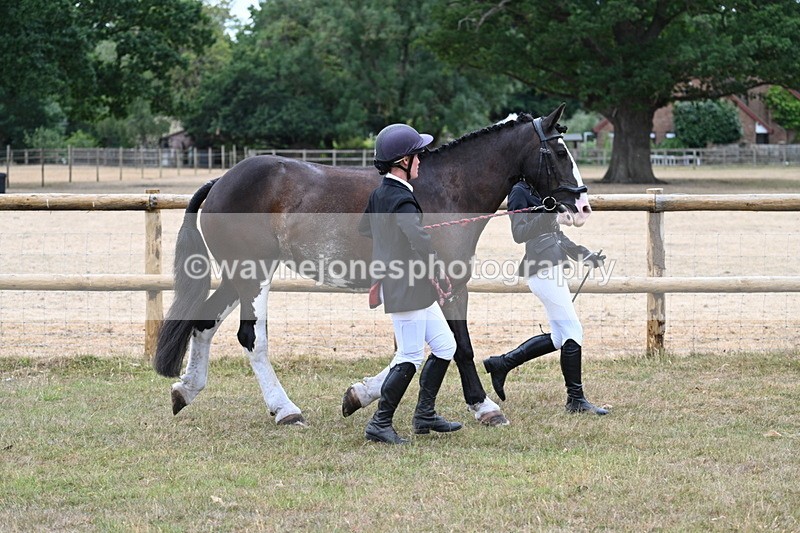 WJ7_8942 - Class 4a Prettiest Mare 14.2hh and over