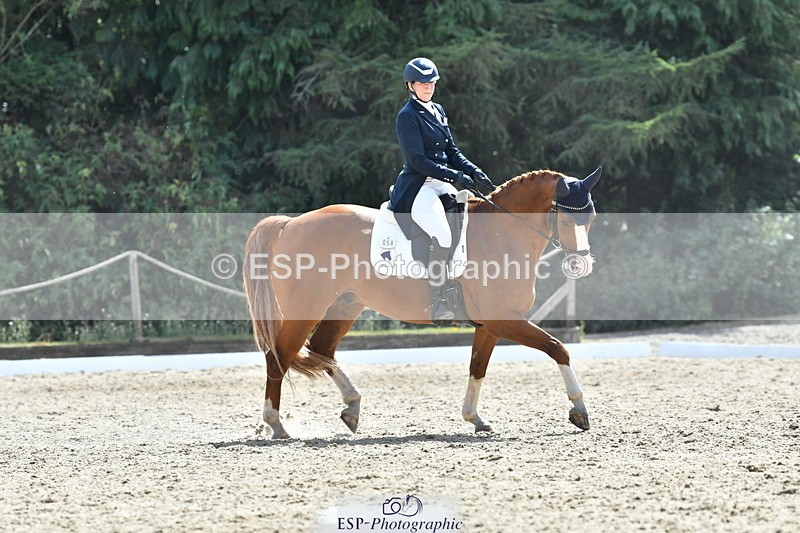 260802A-151436-07325 - Intermediate Bronze