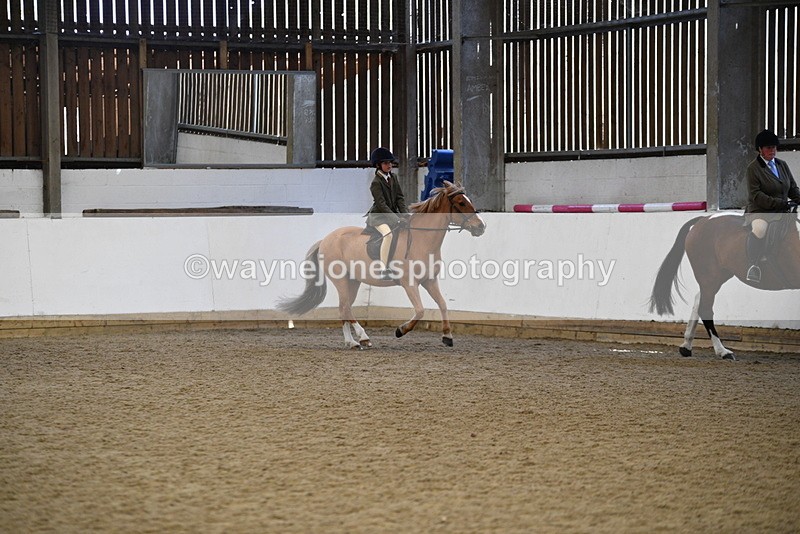 WJ5_6027 - Class 9 Ridden Veteran