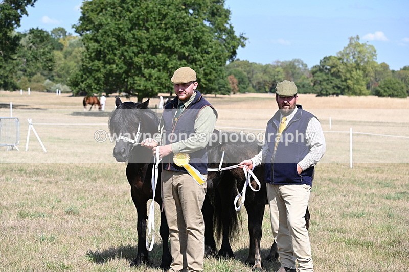 WJ6_5093 - Class 17 Mountain & Moorland