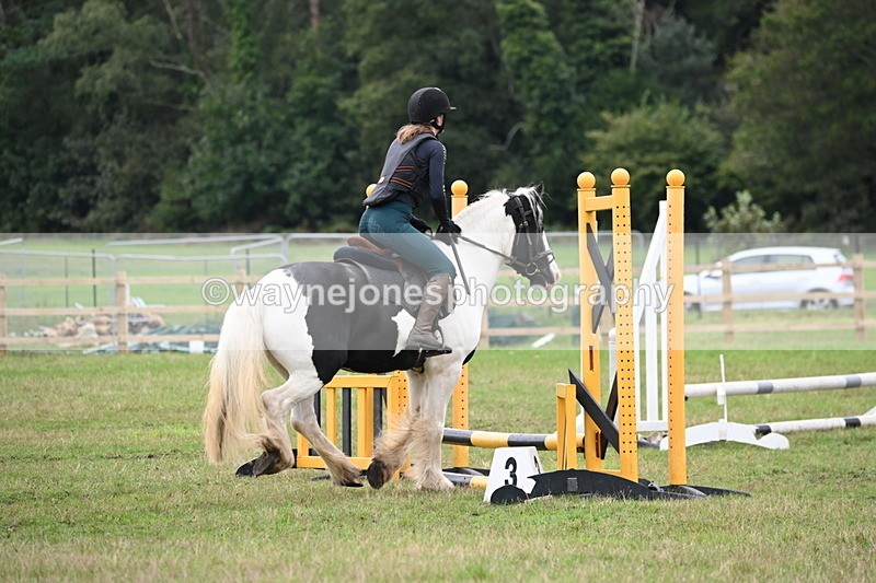 WJ6_0441 - 40cm Time 10:29 to 10:52