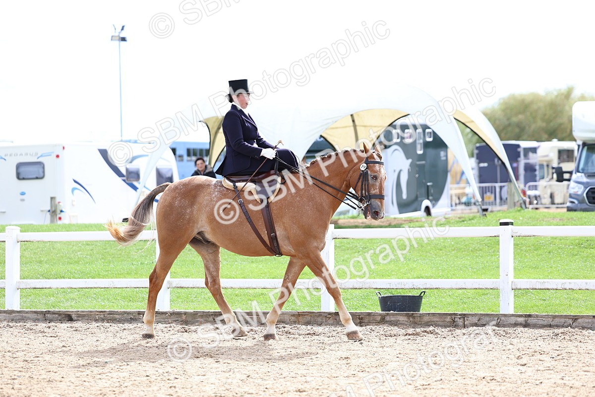 SBM_03461 - Class 24 - SSA Concours d'elegance (any age)