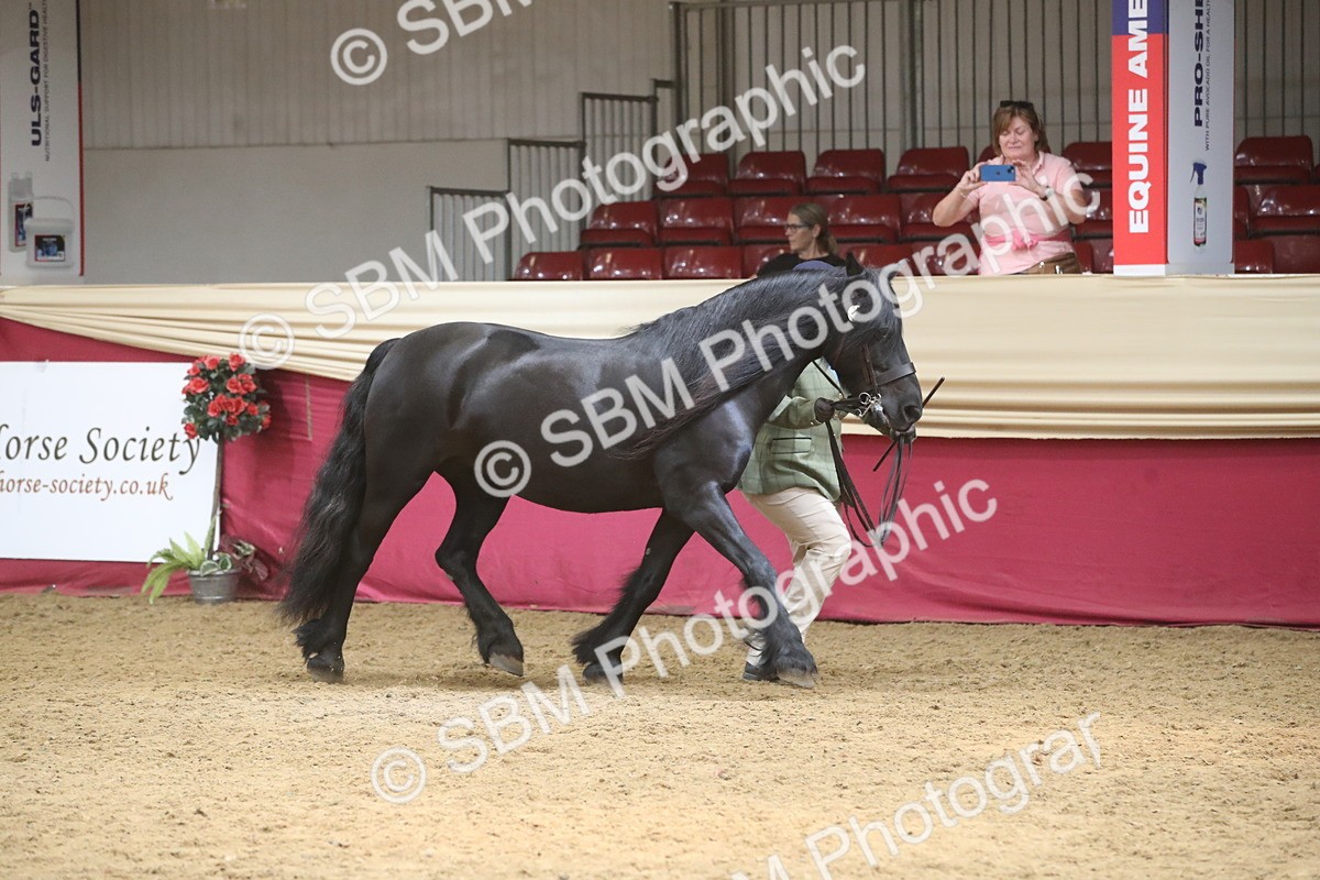 SBM_05544 - Class 9R - Regional IH Pre-Vet