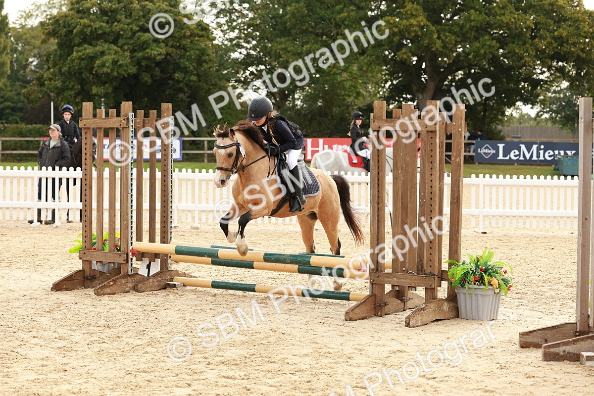 SBM_57675 - J11 - Junior Pony 50cm Championship
