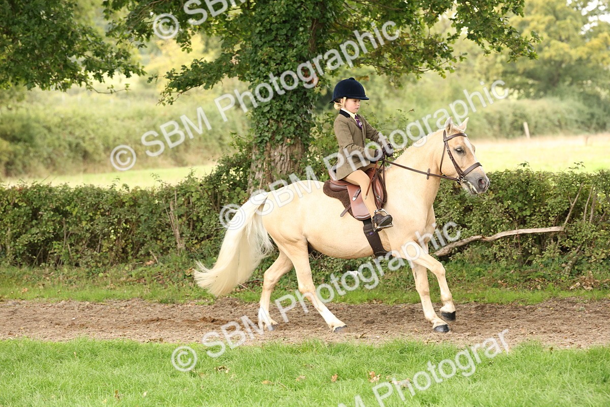 SBM_63002 - S64 - Foreign Breeds Ridden