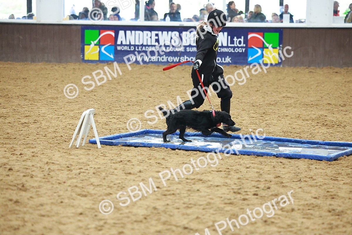 SBM_002483 - Class 3 - Horse & Hound (60cm)