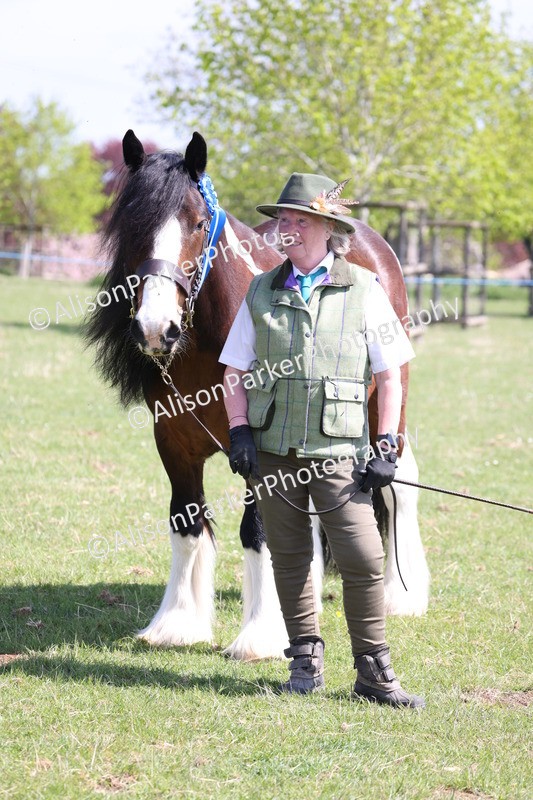 20250427-3018 - Class 27 - Coloured Horse and Pony