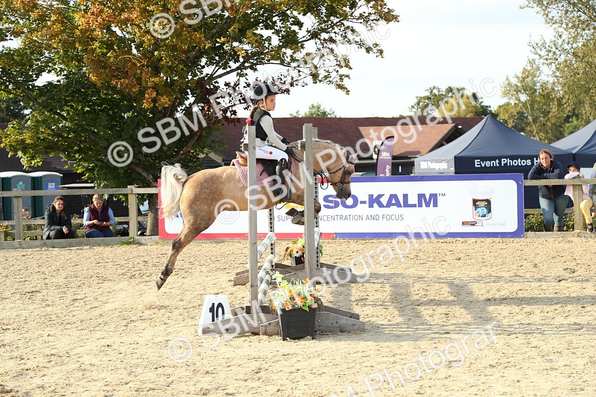 SBM_53588 - J8 - Junior Pony 65cm Championship