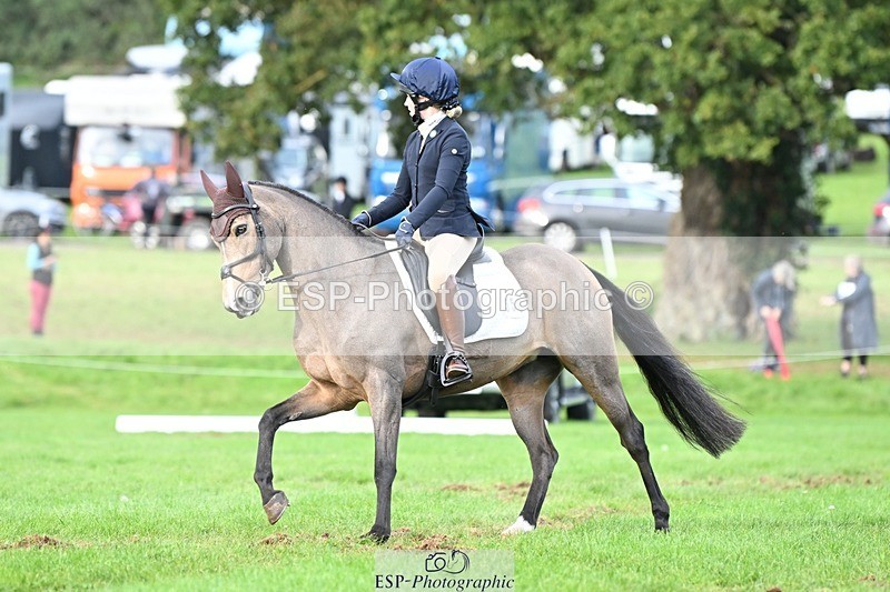 231020-161513-11647 - 558-BATHLEYHILLS.GOLDEN.SPRAY-Cleo.Whitbread-DR