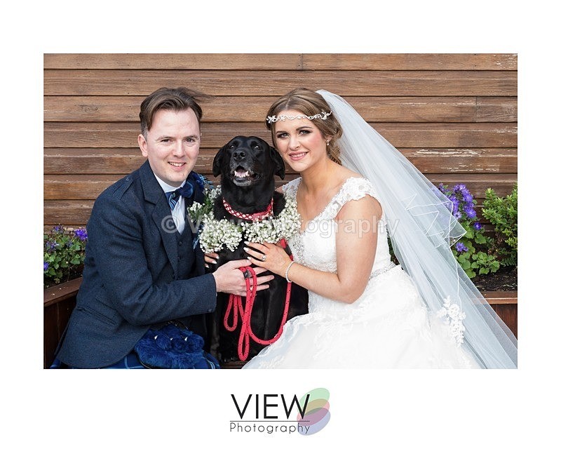 3 - Weddings