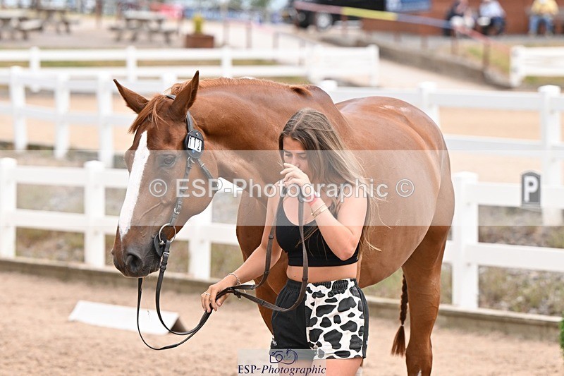 250716-144513-01367 - Trot Up 2.30 to 3.30