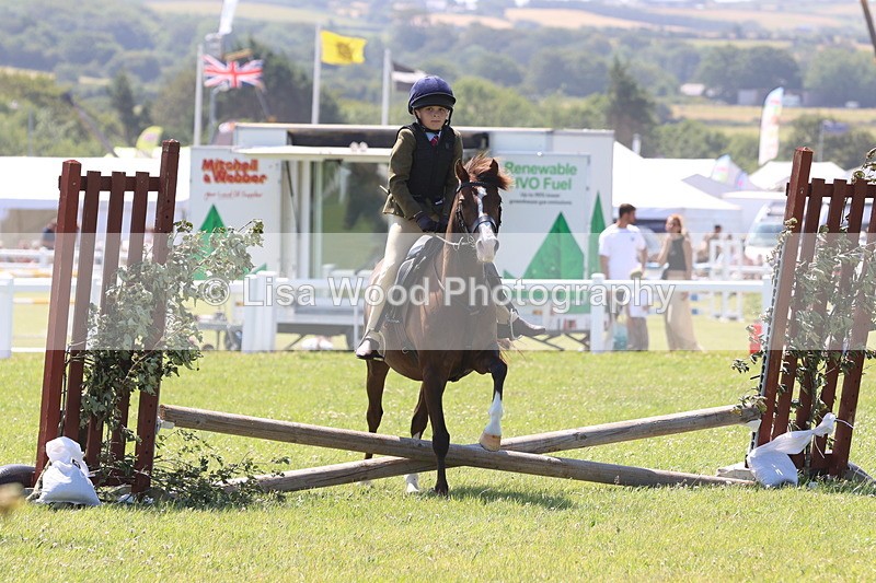JPP_2228 - Class 20: Tiny Tots Working Hunter Pony