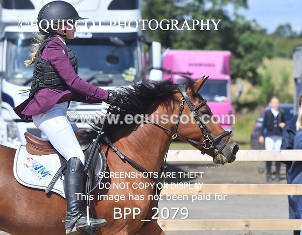 BPP_2079 - DERBY CLASS 6 - 70CM