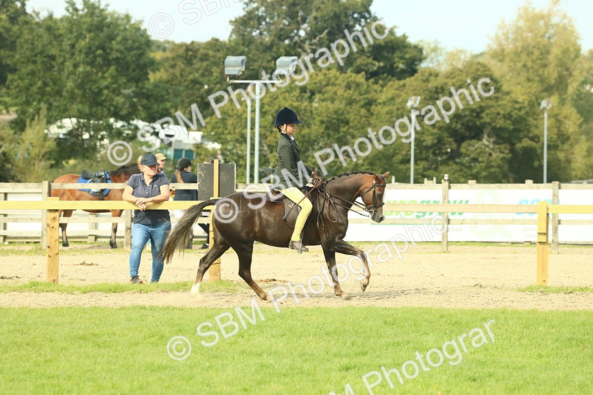 SBM_68065 - S57 - Part Bred Pony Ridden