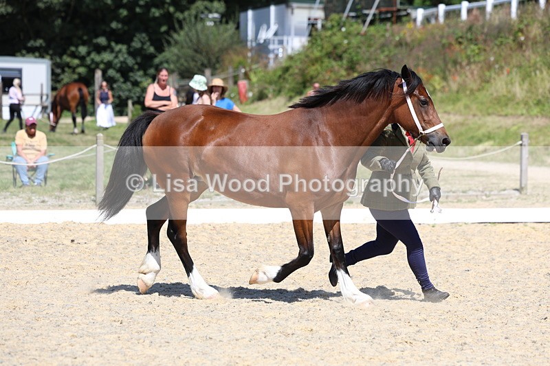 3E7A9551 - Class 32: Best Grass Kept