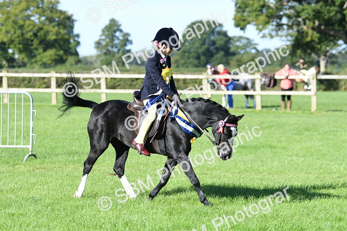 SBM_35622 - Top Turnout Supreme Championship