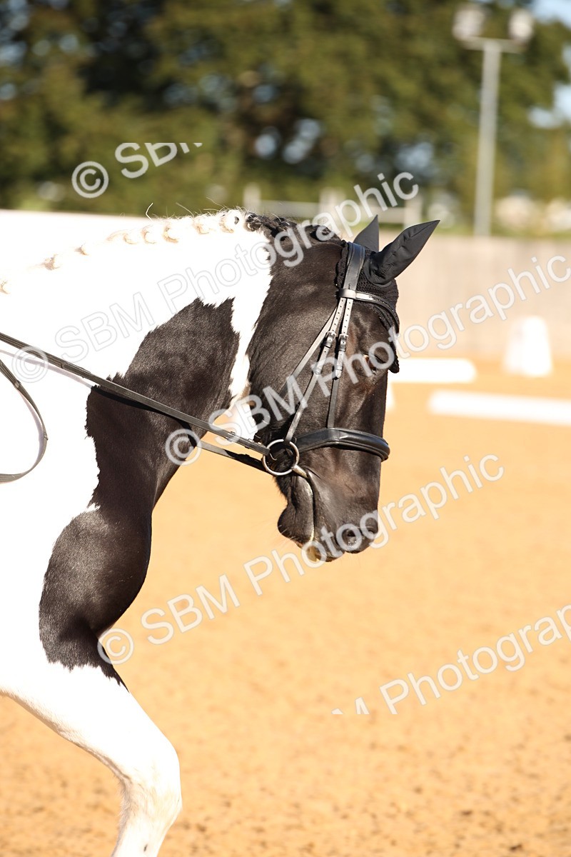 SBM_01820 - D2 Small Tour Championship Intro C