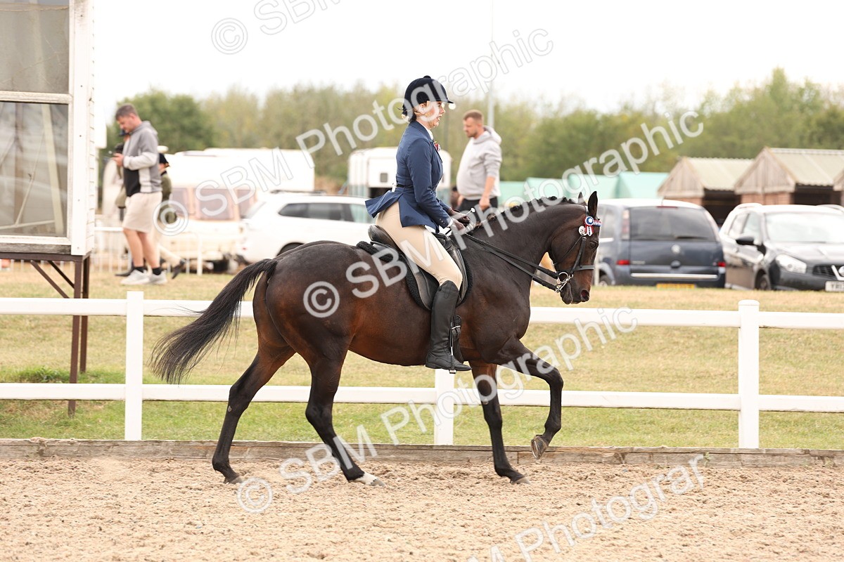 SBM_17318 - Class 214 - Ridden Hack Riding Horse