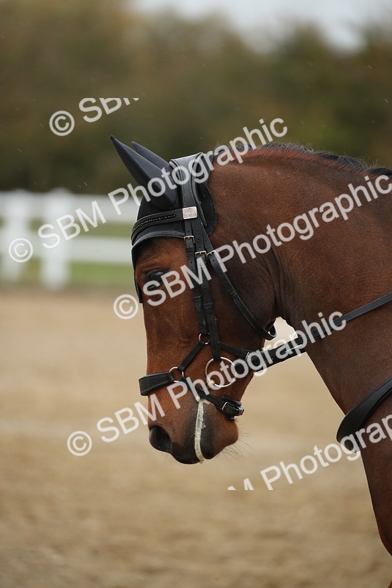 SBM_001566 - Prelim 2