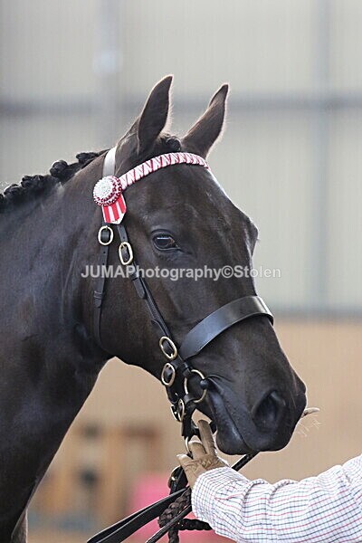 SIAL9344 - Indoor Classes