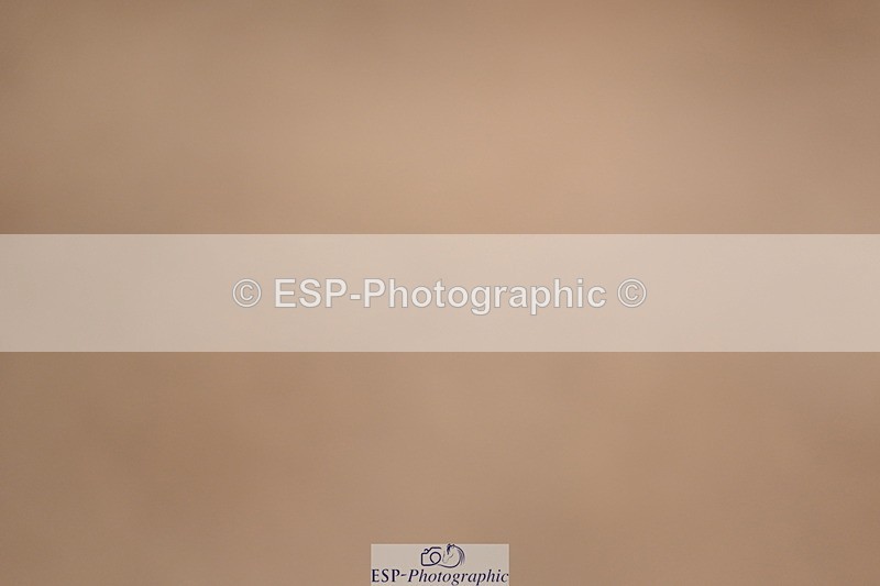 240323A-131556-03062 - DR Elementary 50