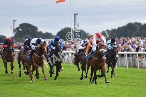 yr18082021r5-61 - Race 5 4.10pm Sky Bet Stakes