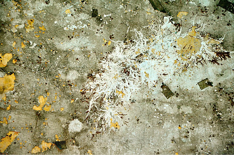 Emergence - Abstractions at Centro Cultural Simón Bolívar 2014