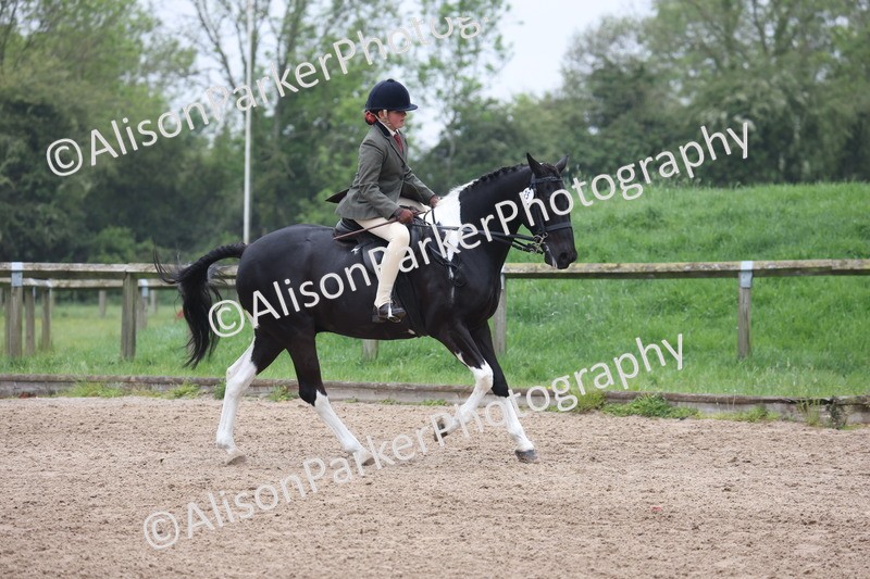 20260504-1010 - Class 14 - Cob and Hunter