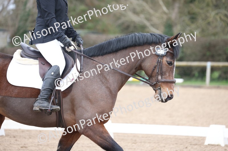 20260228-0052 - Class 2 - Intro 4