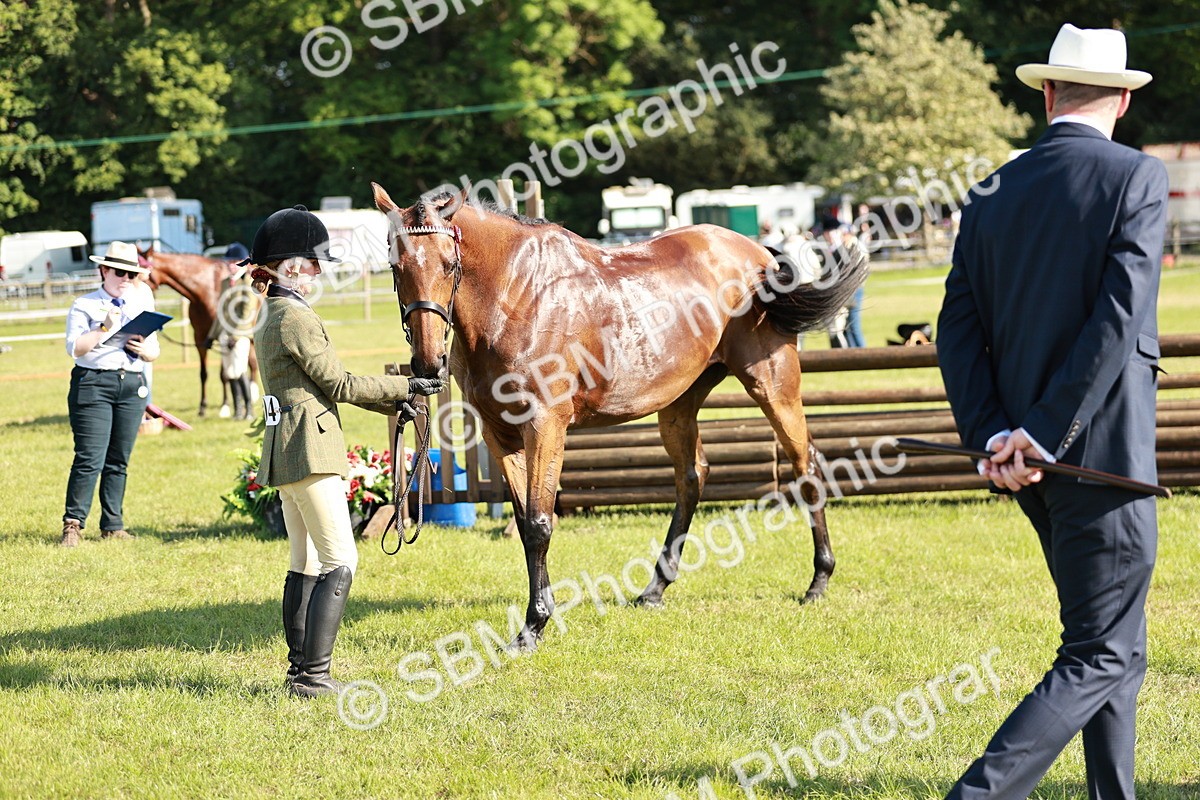 SBM_19276 - Class 115-116 - LIHS BSHA Rising Star Working Hunter & Show Horse