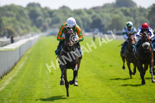 270523-Race 2-Native American-0307 - Race 2 2.10pm Collective Green Energy EBF Restricted Novice Stakes
