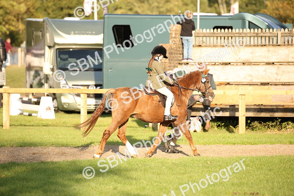 SBM_54391 - S27 - Mature Veteran - Ridden