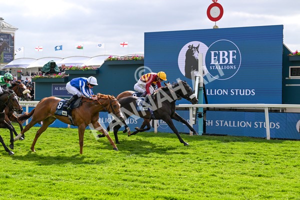 150525-Tropical Storm-4900 - Race 5 4.18pm British Stallion Studs EBF Westow Stakes