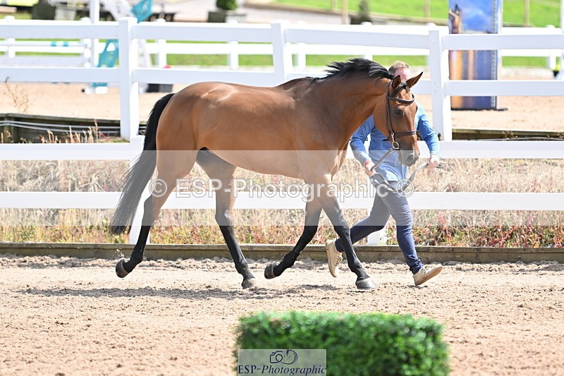 240717A-152350-02807 - Trot Up 3pm to 4pm