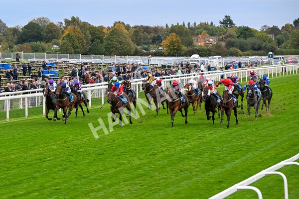 101025-Race 6-Dan Tucker-0467 - Race 6 Copper Knight Winning-Most Horse Handicap at York
