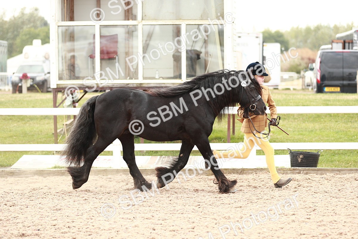 SBM_12466 - Class 207 IH M&M