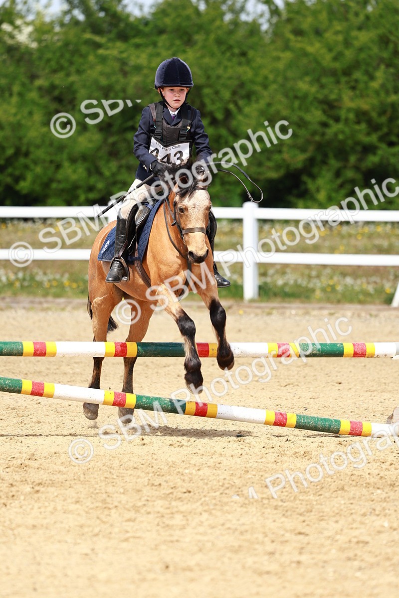 SBM_007865 - Class 3 - 60cm