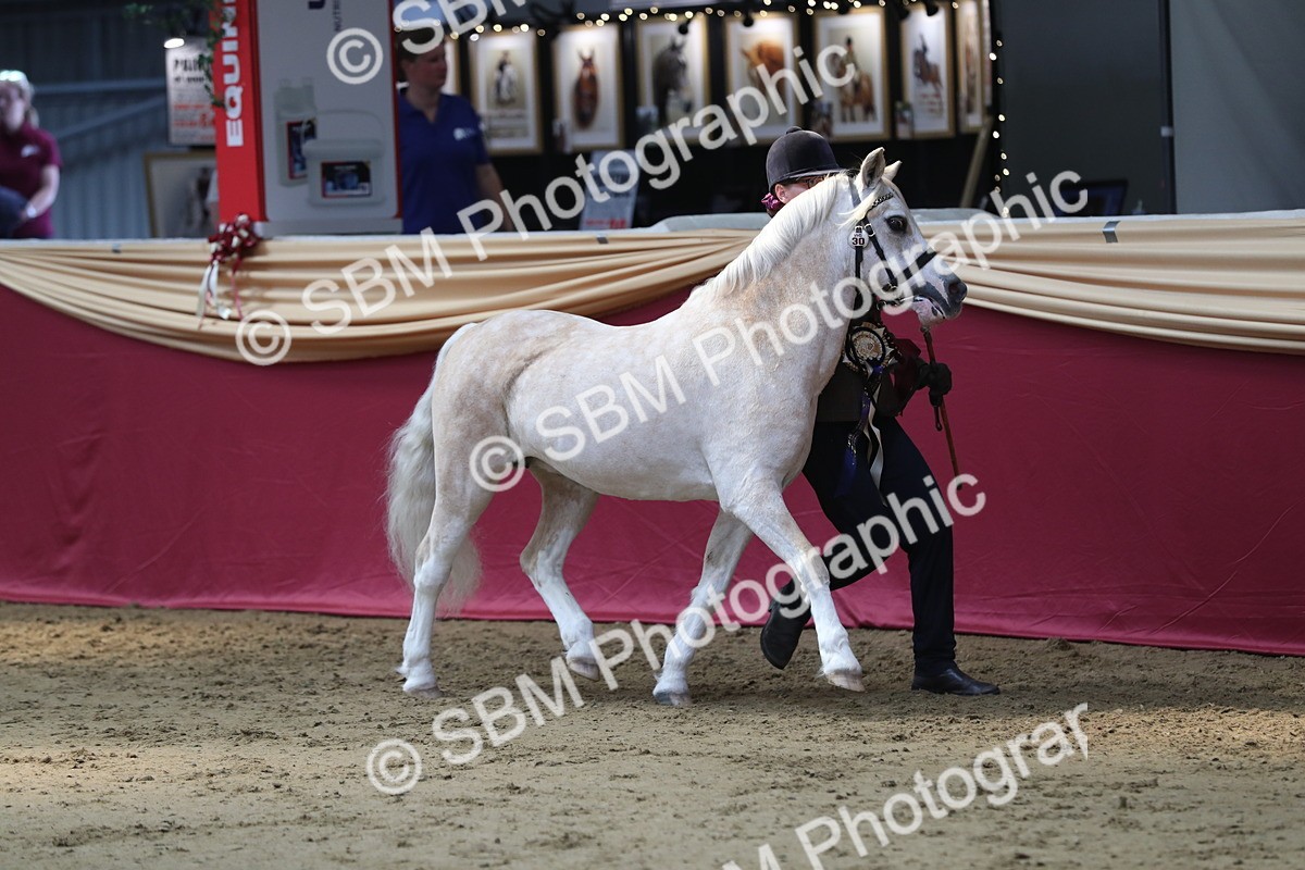SBM_04496