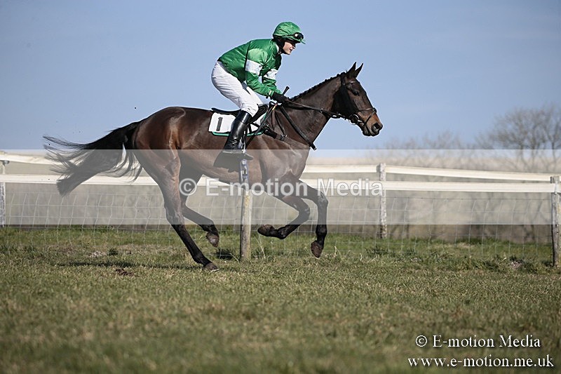 PtP 240218 201 - Vine & Craven Hunt Point-to-Point Barbury racecourse 24/02/18