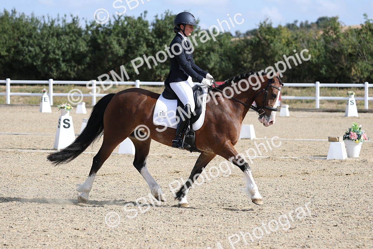 SBM_020270 - Class 21 - M5 Bronze 9.30.10.34