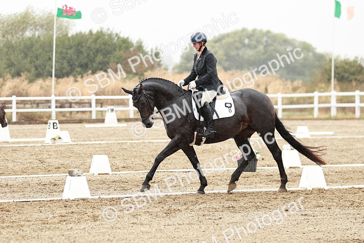 SBM_003988