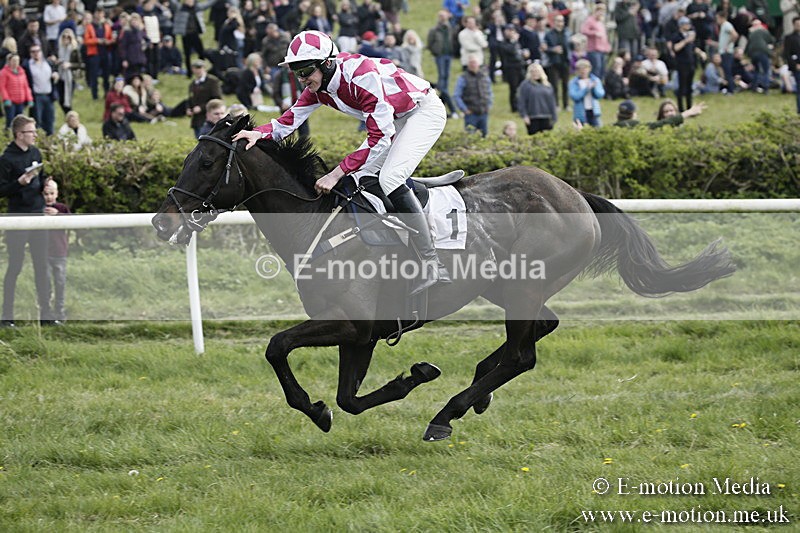 PtP 170417 368 - Old Berks Point-to-Point Lockinge 17/04/17