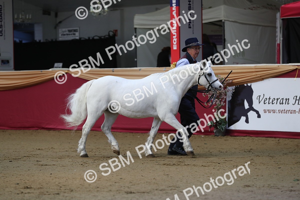 SBM_00526 - class 2a Area IH Veteran