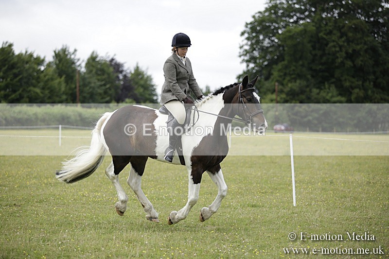 BVR160717-1884 - Ring 1 BVRC Show 16/07/17