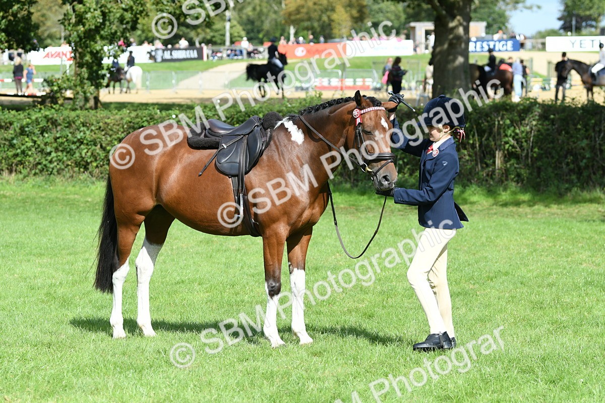 SBM_47149 - S12 - Family Horse & Pony