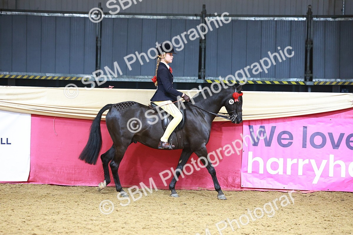 SBM_12383 - Class 103 - HOYS Veteran Qualifier - Ridden Pre Vet