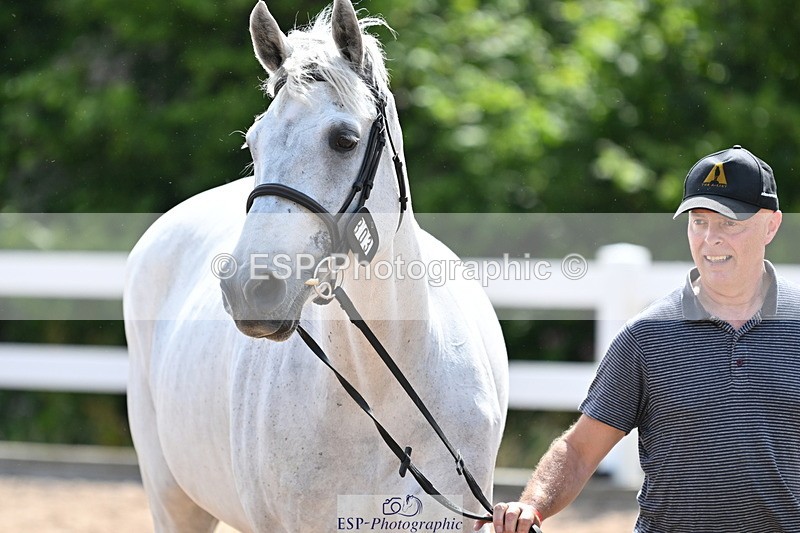 240717A-155043-03101 - Trot Up 3pm to 4pm