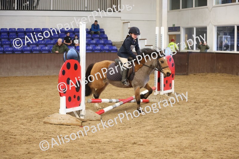 20260321-0442 - Class 2 - 40cm