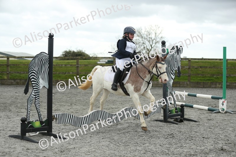 20260412-0685 - Show Jumping